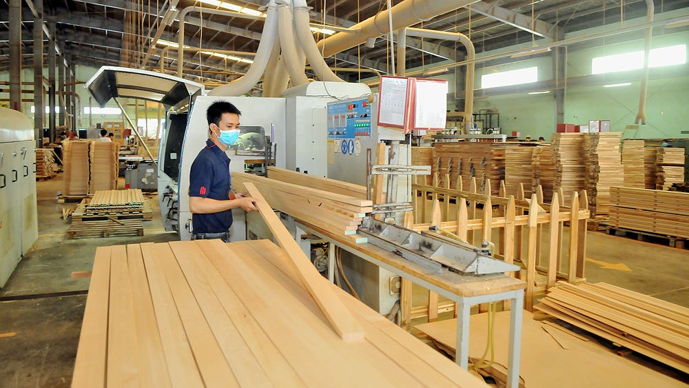 Công nghệ chế biến gỗ tân tiến trên thế giới