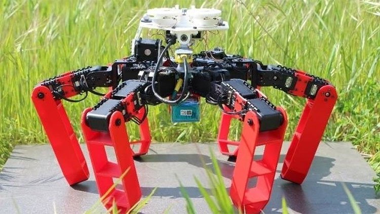 Phát minh loại robot mới có thể di chuyển mà không cần GPS