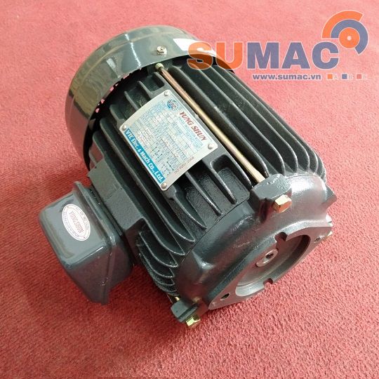 dong-co-dien-cot-am-electric-motor