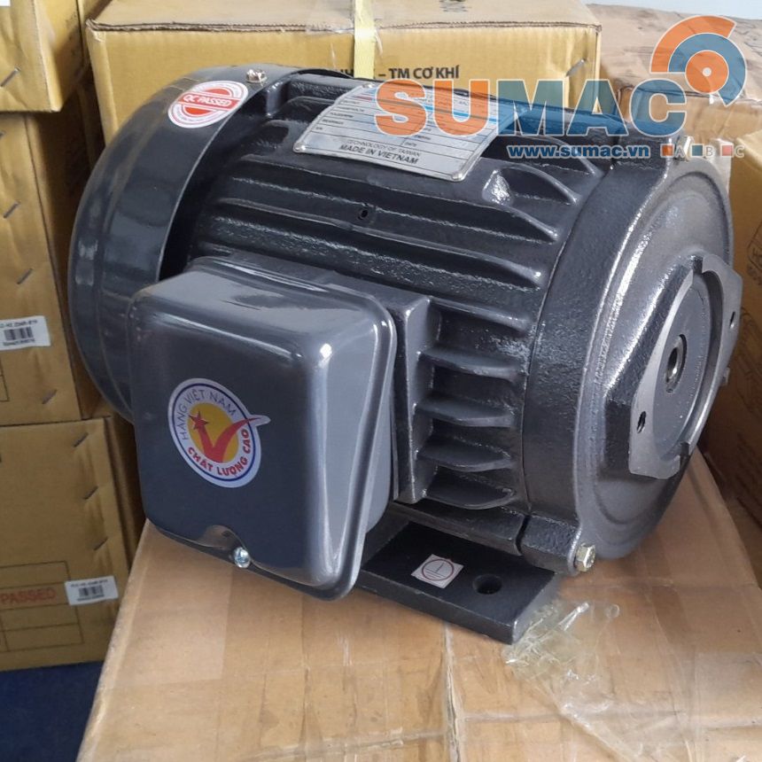 Các loại motor bơm dầu phổ biến hiện nay