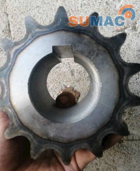 nhong xich 100-1 các loại 