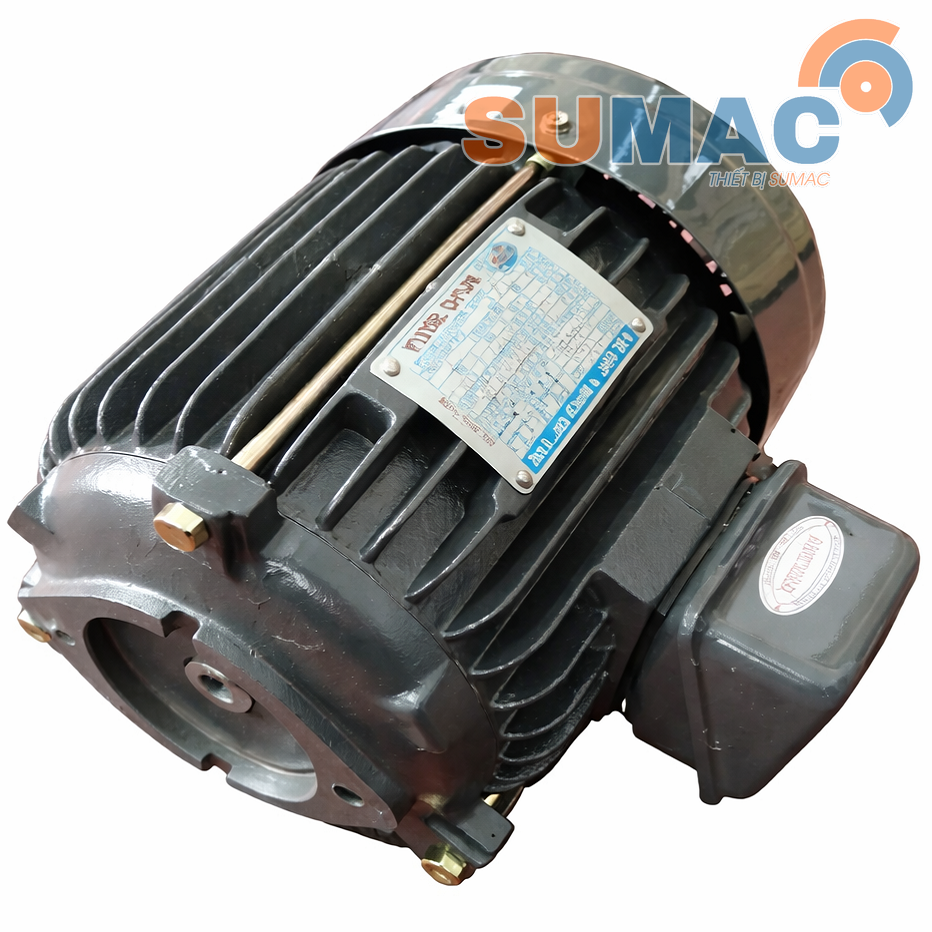 dong-co-dien-cot-am-electric-motor