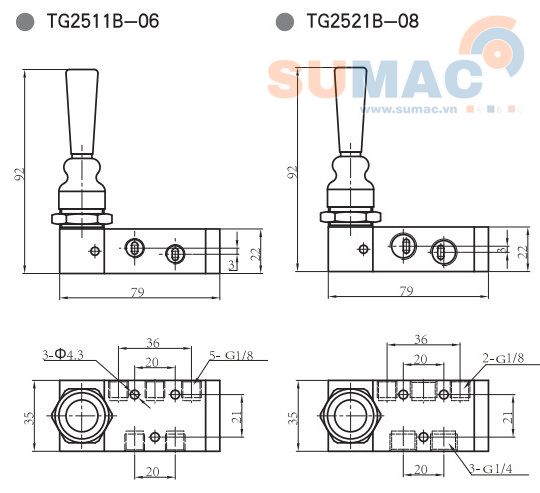 THÔNG SỐ KỸ THUẬT VAN GẠT TAY KHÍ NÉN TG2511B-06, TG2521B-08