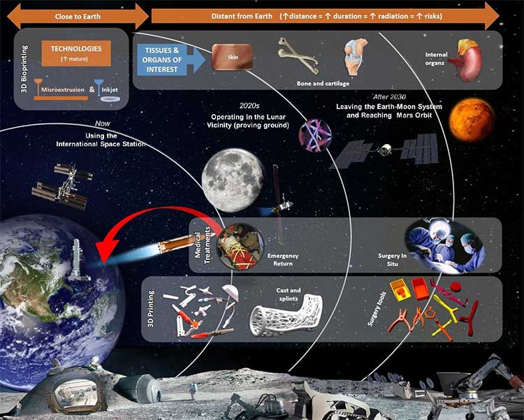 ESA đang nghiên cứu in 3D xương và da giúp cấp cứu các tai nạn trên vũ trụ